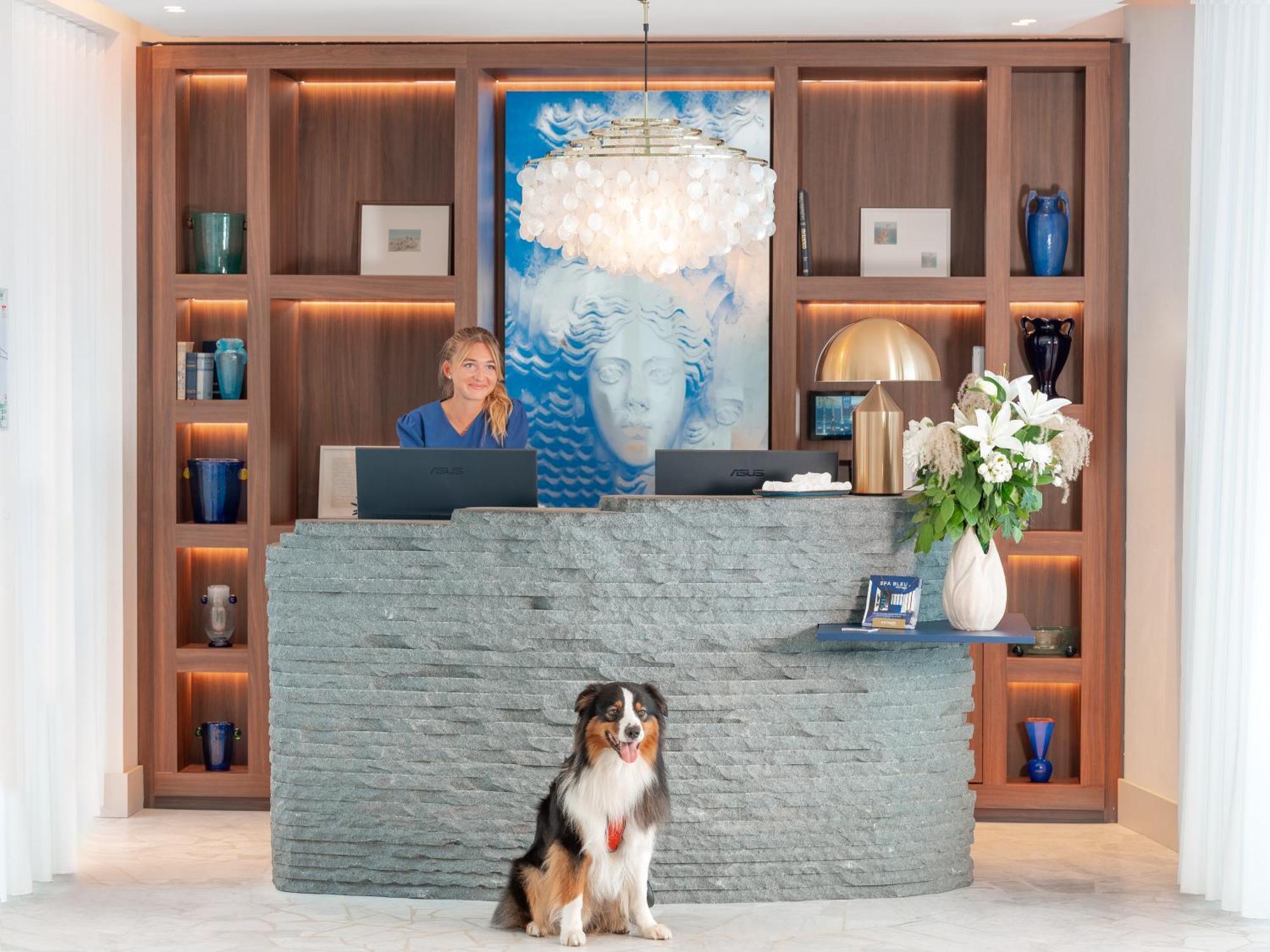 Bleu Hotel & Spa Карри-ле-Руэ Экстерьер фото
